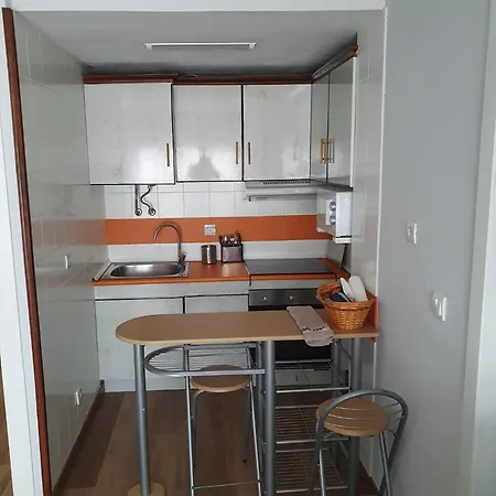 Vistas Monte Naranco Con Parking 5euros Al Dia Daire *