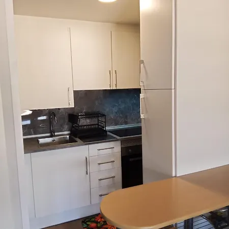 Apartment Vistas Monte Naranco Con Parking 5euros Al Dia *