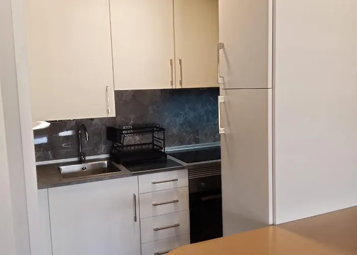 Apartment Vistas Monte Naranco Con Parking 5euros Al Dia *